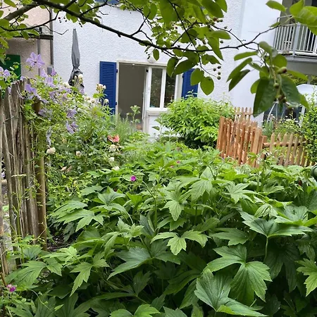 Private Garden Oasis At Letzigrund Stadion Apartment Zurich